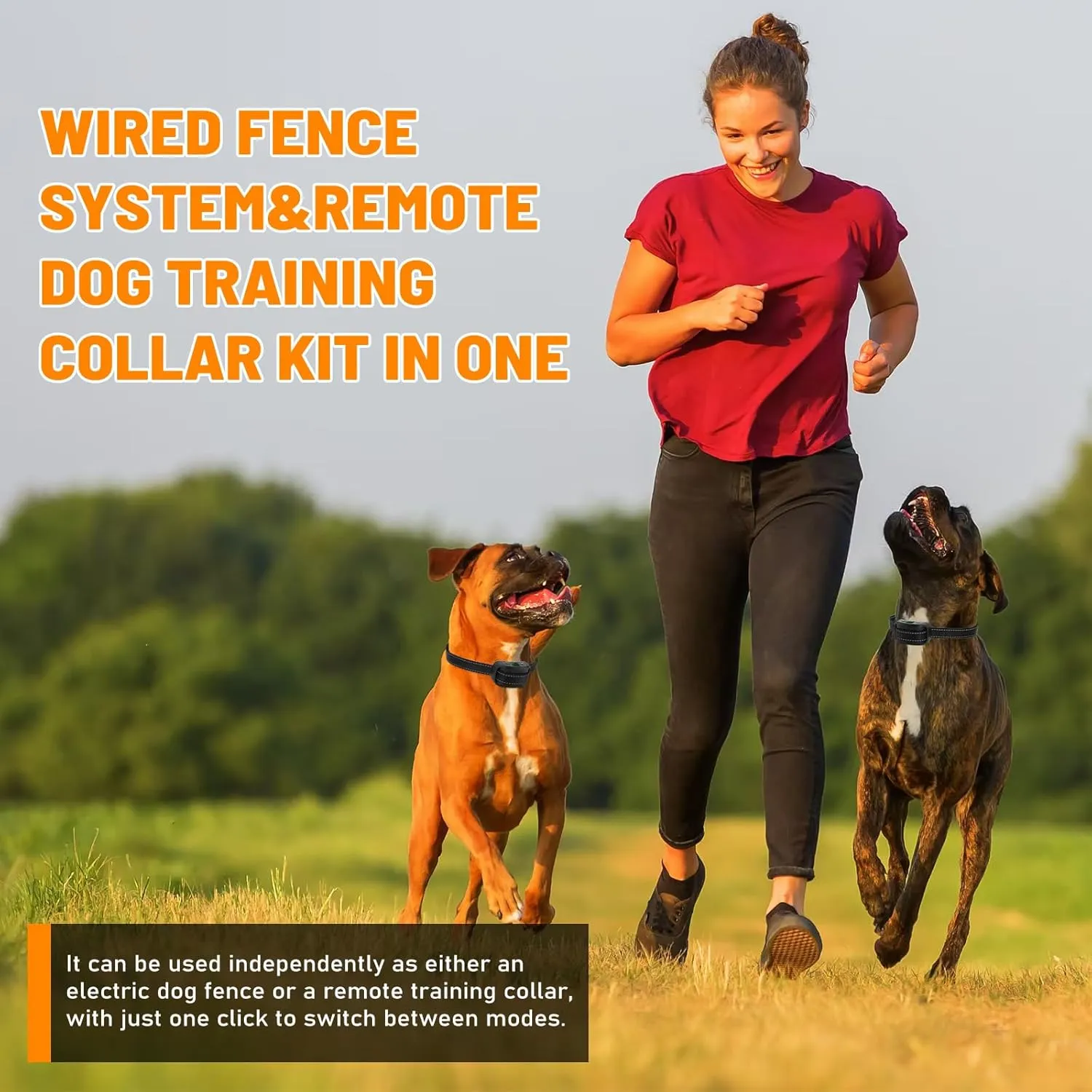 2-in-1 Electric Dog Fence with Remote Training, Underground/Aboveground Dog Fence, 650Ft Wired Pet Containment System, Tone/Vibration/Shock Correction, 1 IP66 Waterproof Collar