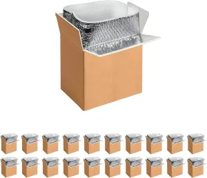 20 Pack Insulated Shipping Boxes with Aluminum Foil Liner,Thermal Insulation Cold Pack Shipping Boxes for Frozen, Reusable Styrofoam Cooler Box, Small Mailing Box, 6’’X5’’X9’’, New