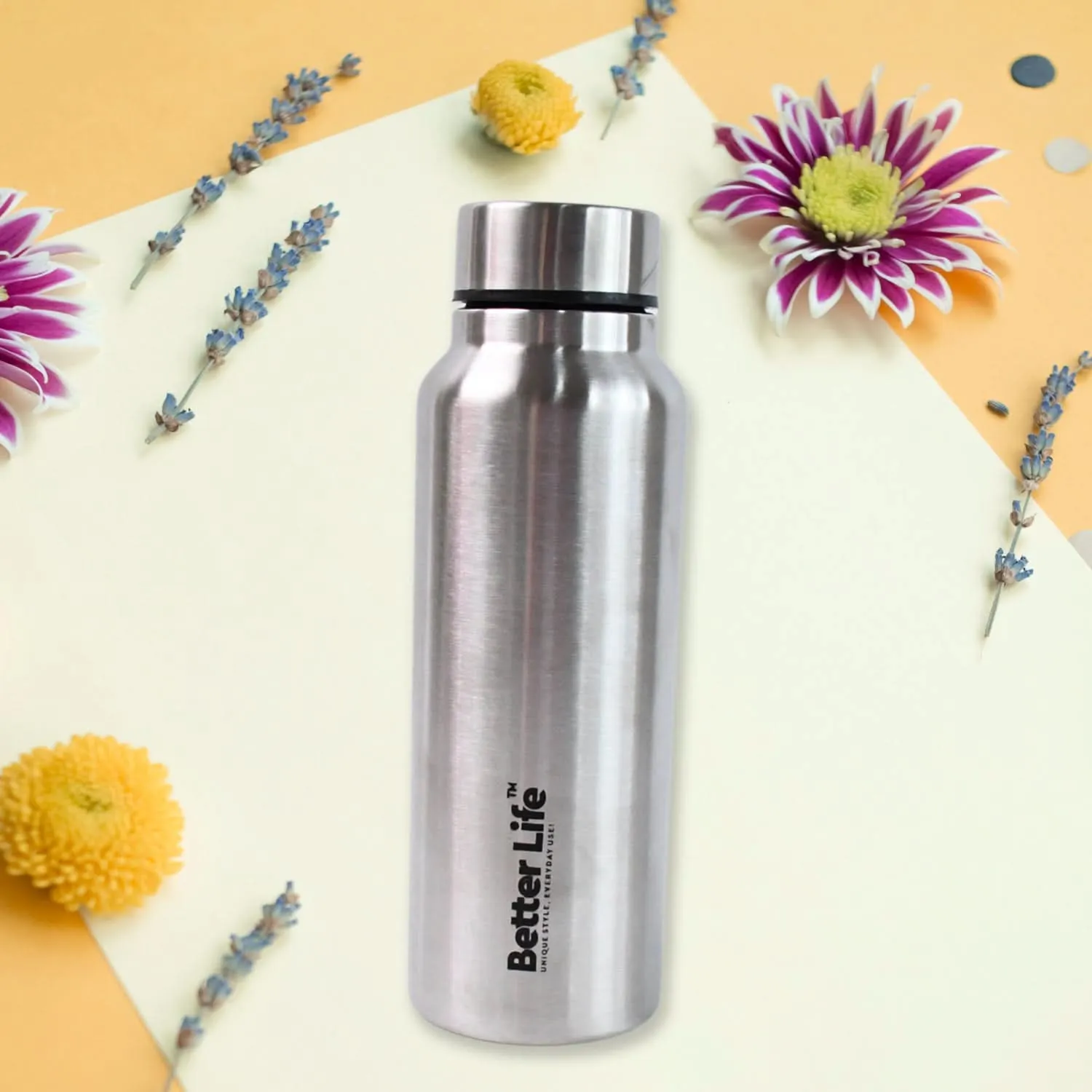 750ml Stainless Steel Vacuum-Insulated Water Bottle