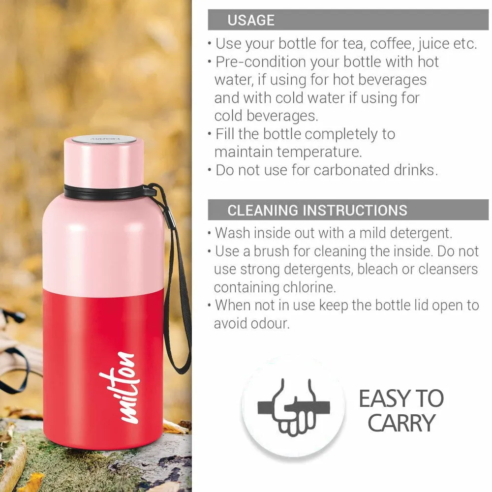 Ancy Thermosteel Water Bottle (Milton)