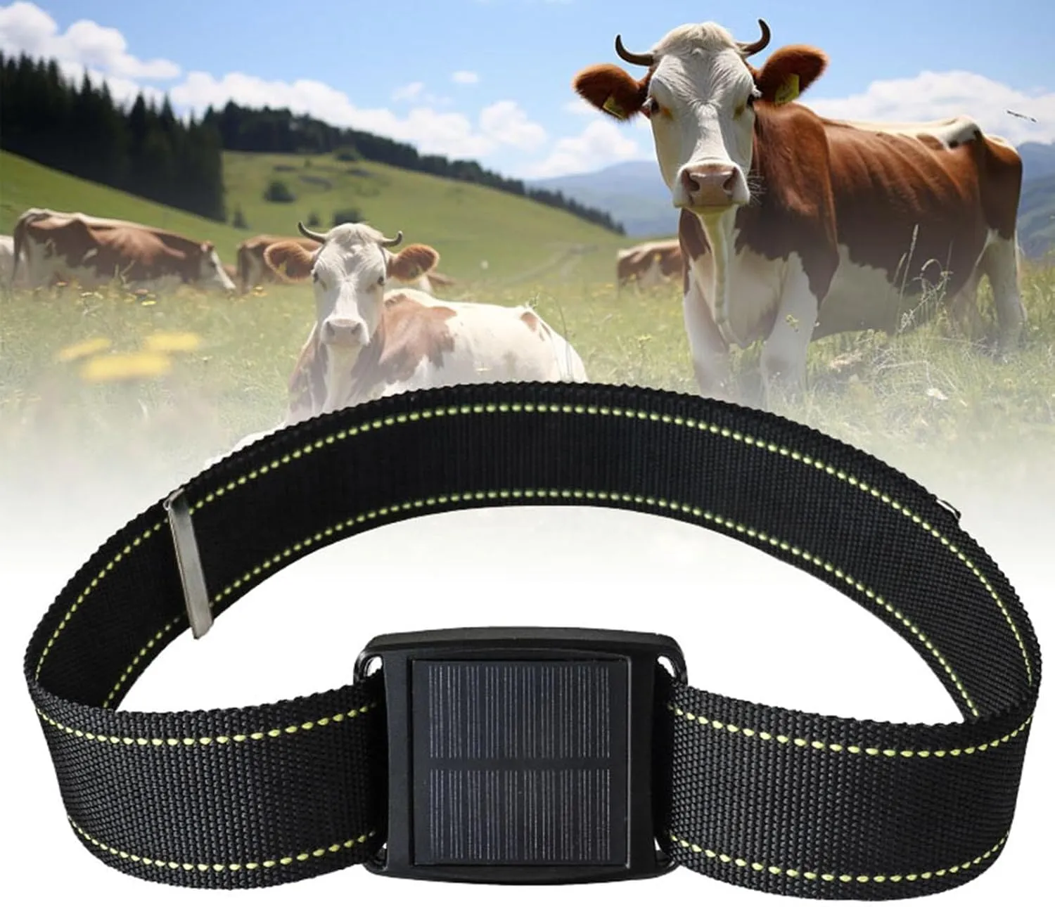 Animal Tracker, Solar GPS Locator Device for Cattle, Sheep and Horses, Real-time Positioning/Waterproof