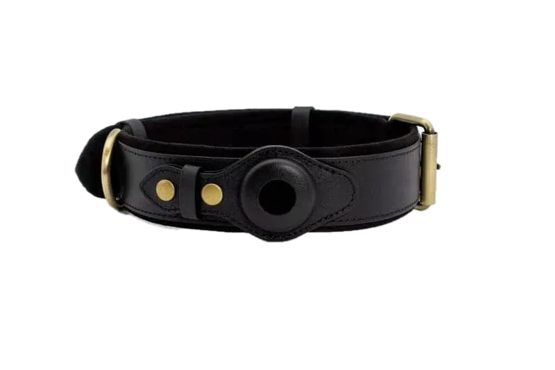 Barktec TrackEasy Leather Collar & Smart Dog Tracker Set