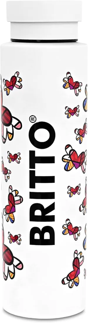 BRITTO Insulated Water Bottle - 25oz Leak Proof Stainless Steel Flask, Thermal Sports Cup, Food Grade Quality, BPA-Free, Vacuum Insulation for 24-Hour Cold & 12-Hour Hot - White Flying Hearts