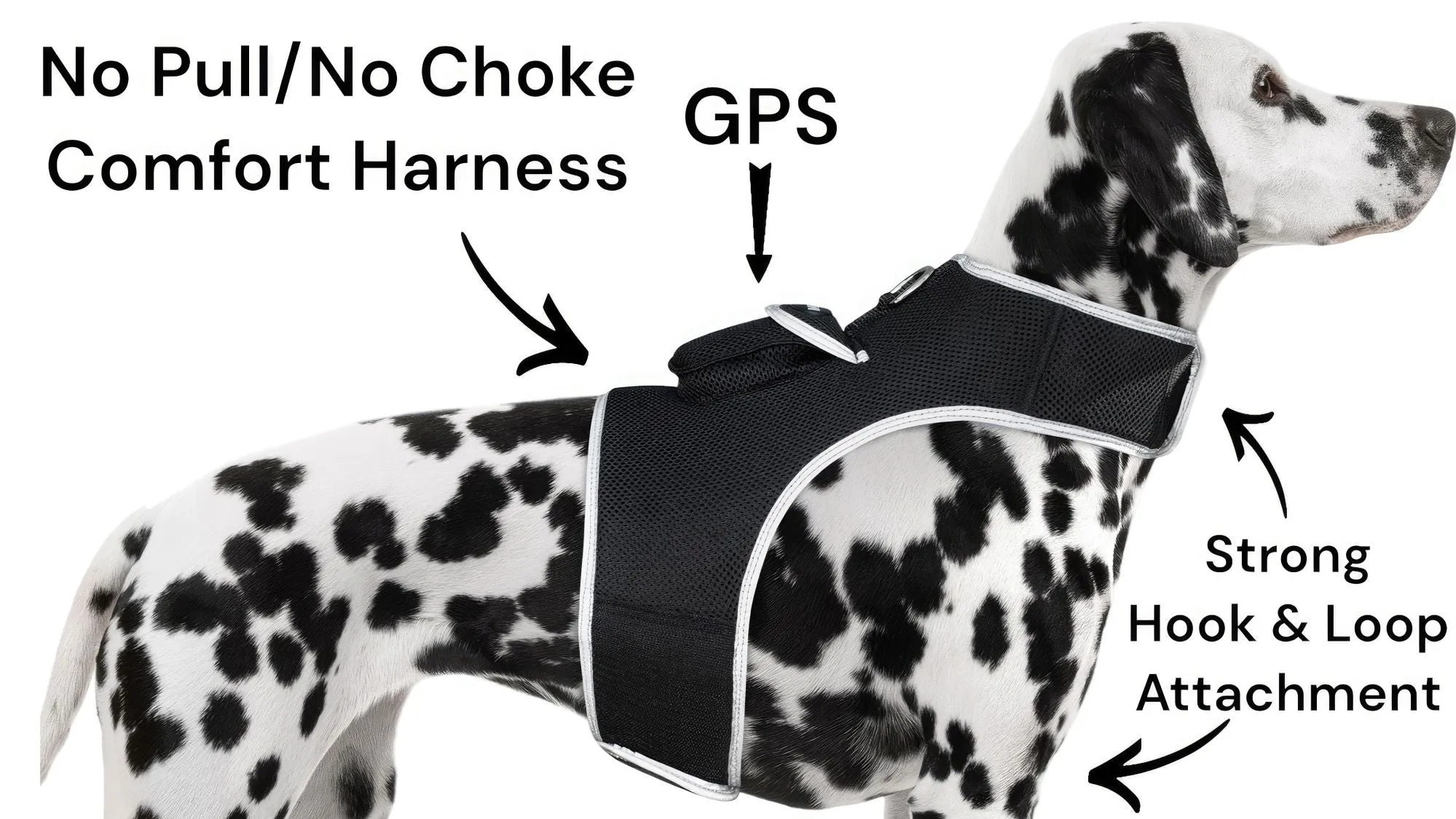 Budget-Friendly Dog GPS Tracker - Pet Surveillance Device (Size: S)