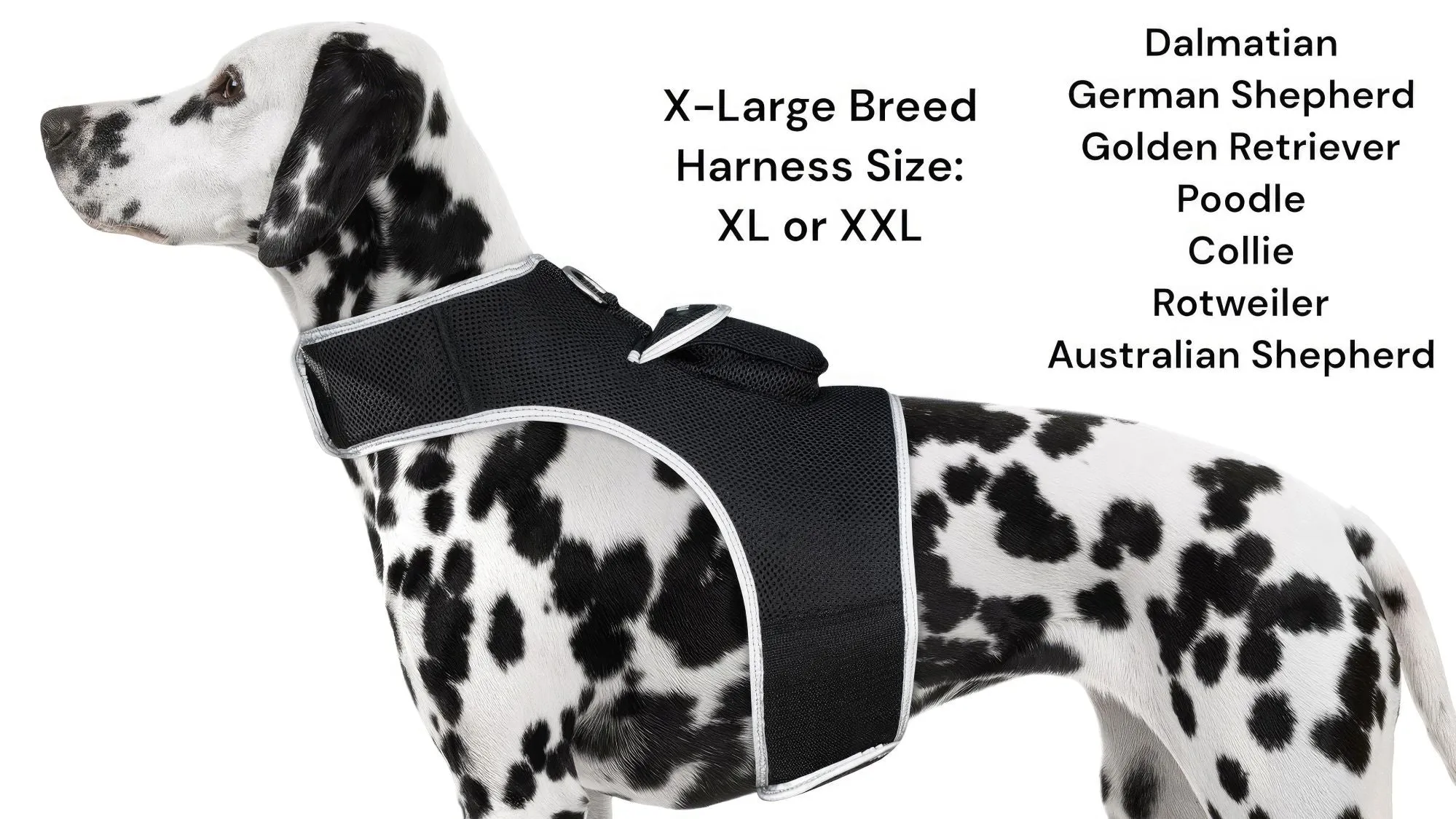 Budget-Friendly Dog GPS Tracker - Pet Surveillance Device (Size: S)