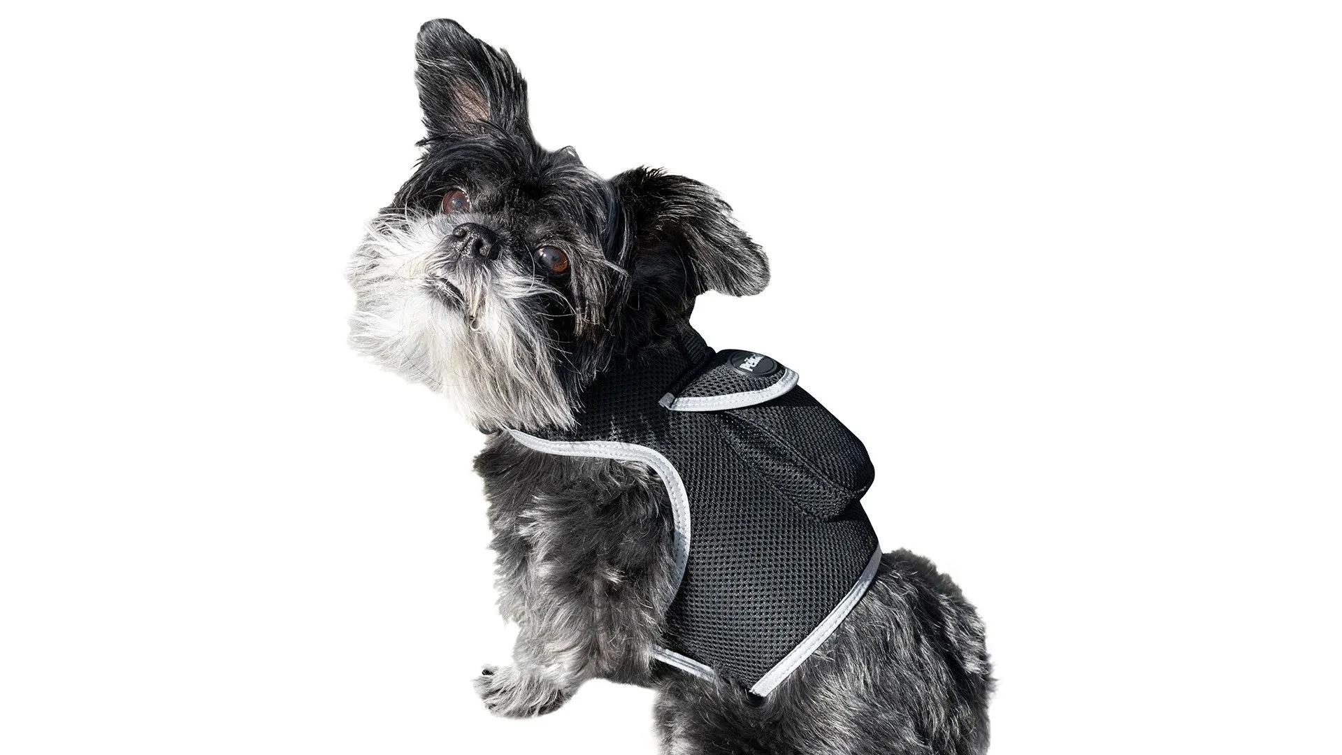 Budget-Friendly Dog GPS Tracker - Pet Surveillance Device (Size: S)