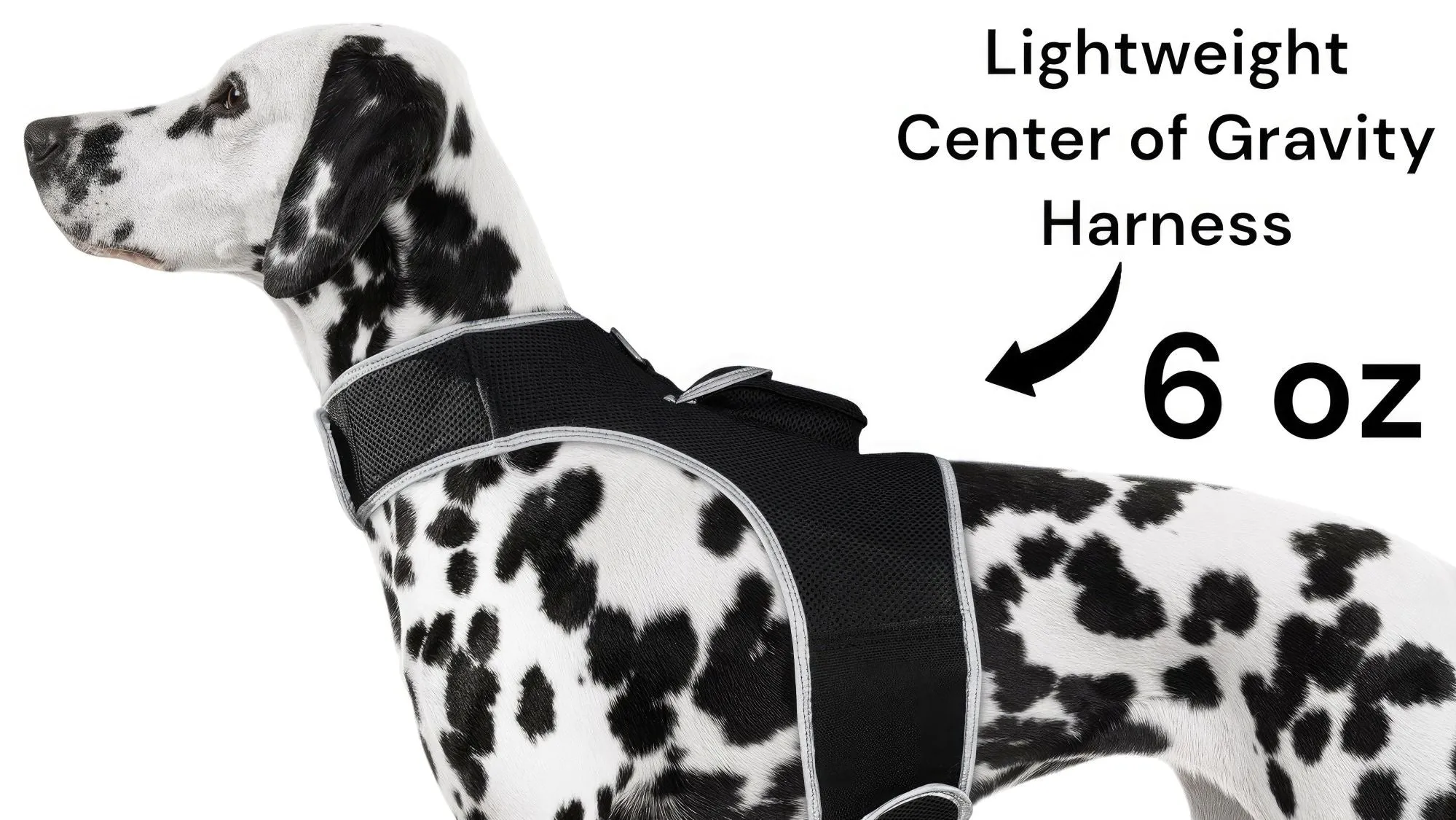 Budget-Friendly Dog GPS Tracker - Pet Surveillance Device (Size: S)