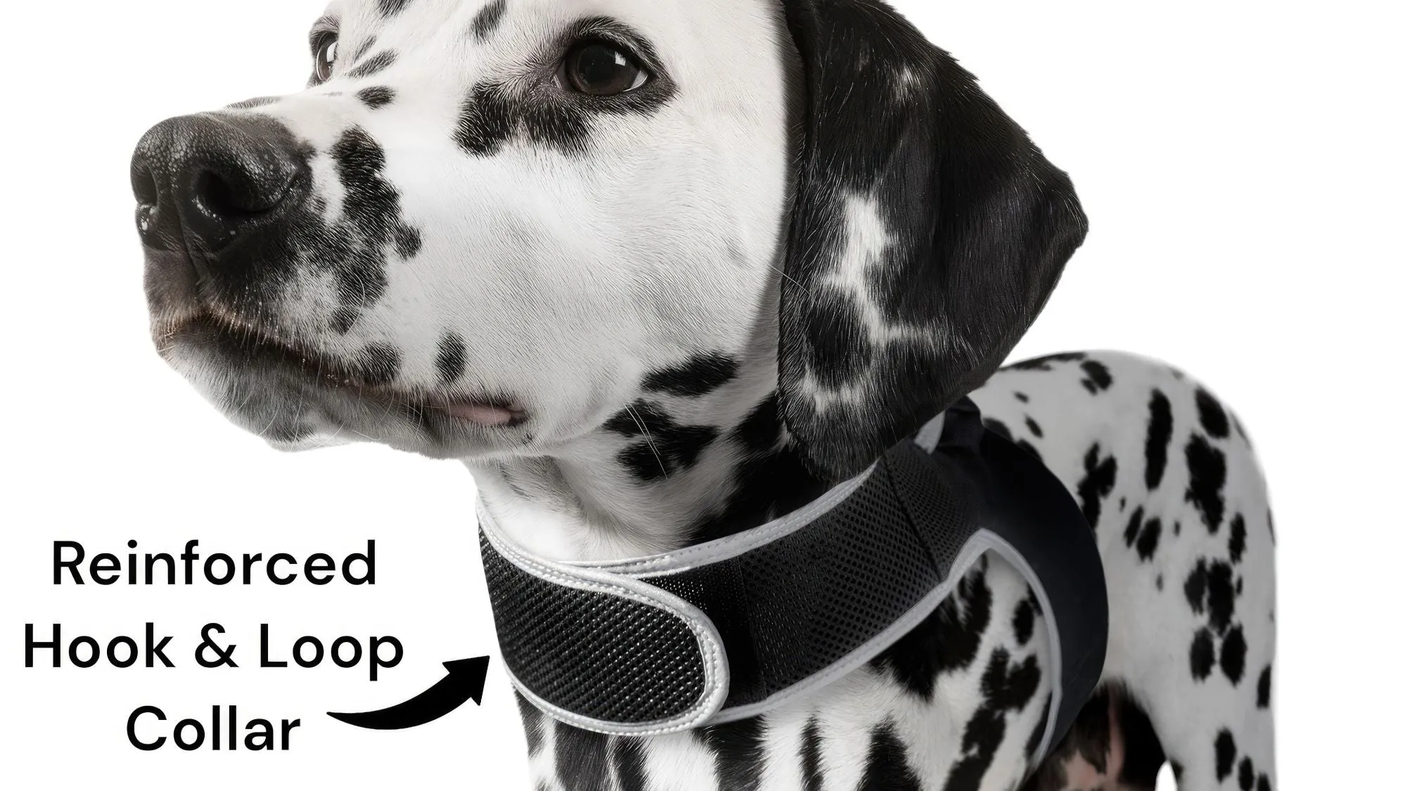 Budget-Friendly Dog GPS Tracker - Pet Surveillance Device (Size: S)