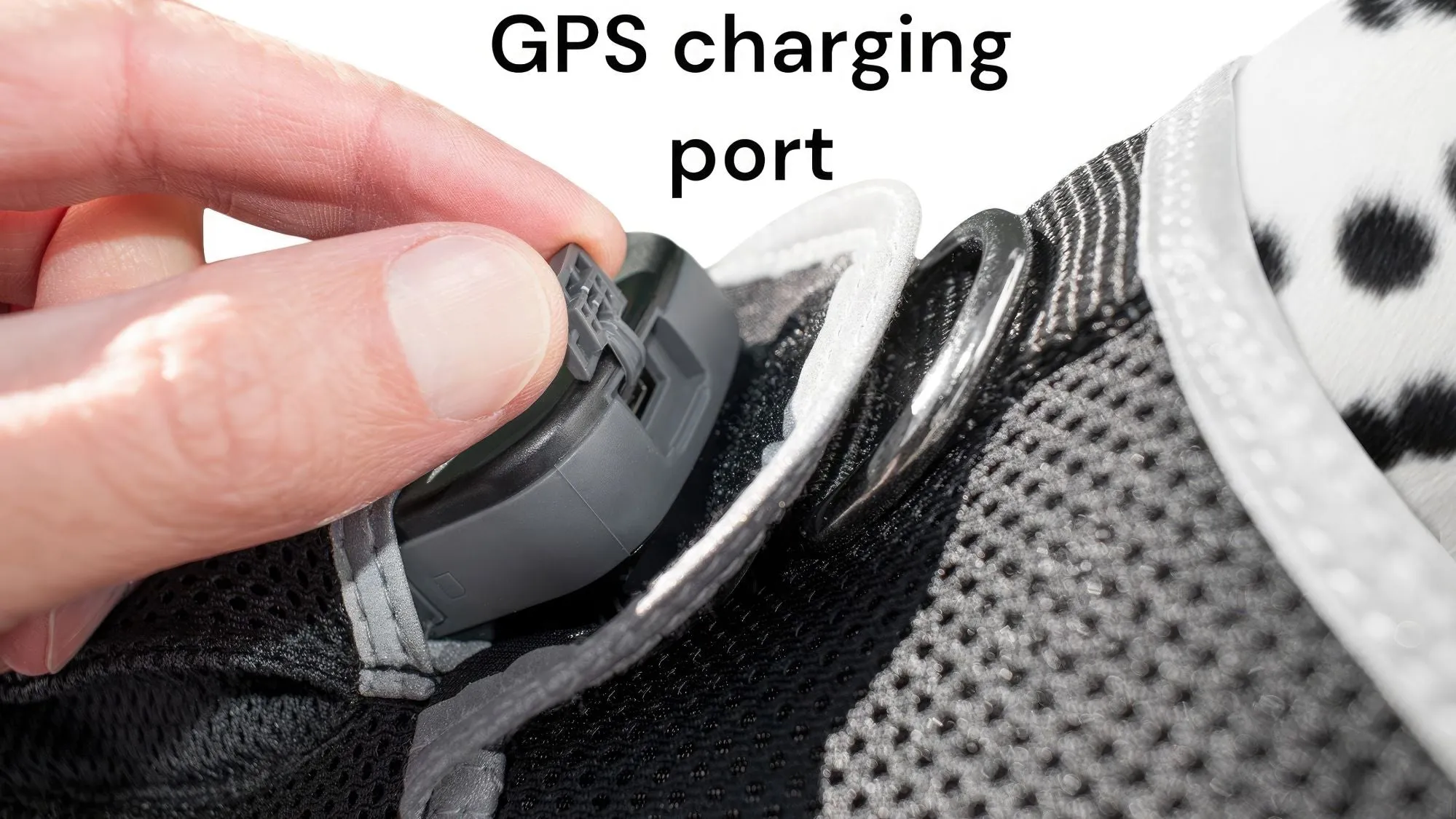 Budget-Friendly Dog GPS Tracker - Pet Surveillance Device (Size: S)