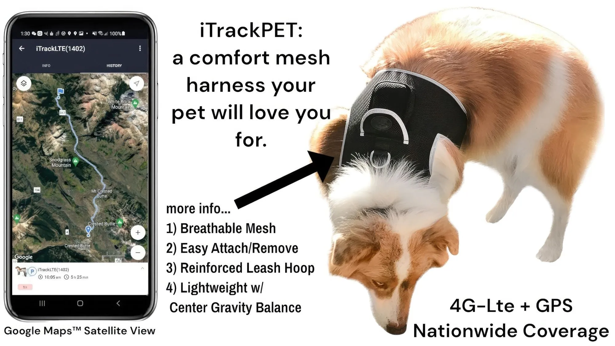 Budget-Friendly Dog GPS Tracker - Pet Surveillance Device (Size: S)