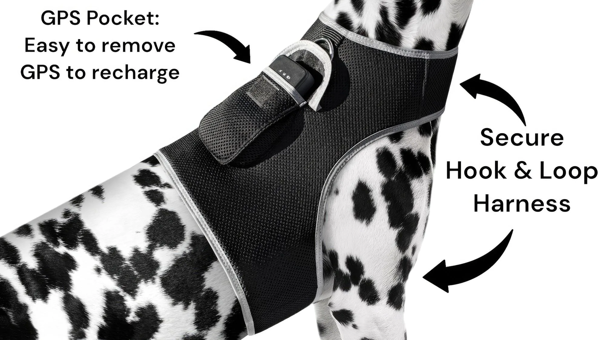 Budget-Friendly Dog GPS Tracker - Pet Surveillance Device (Size: S)