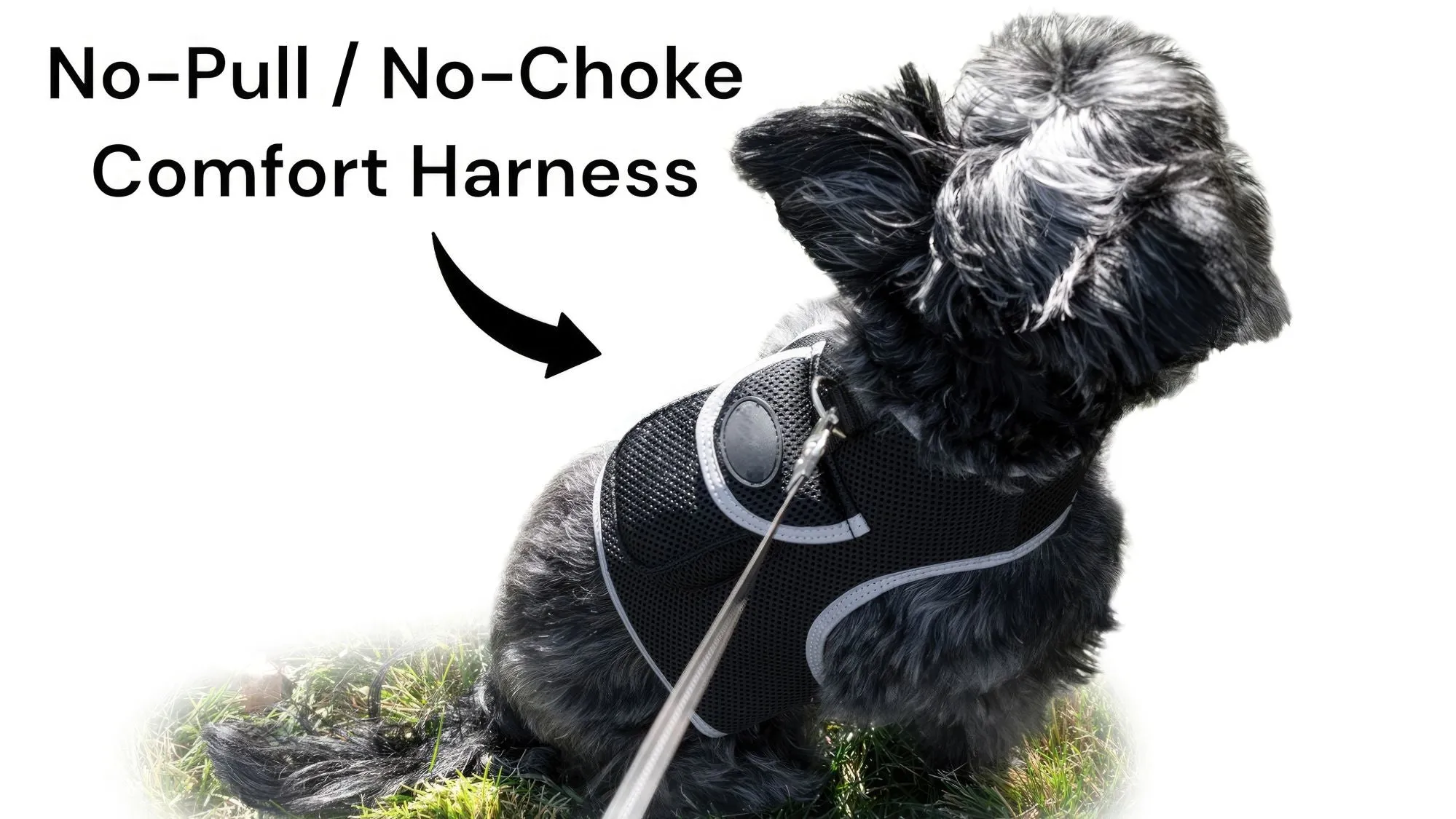 Budget-Friendly Dog GPS Tracker - Pet Surveillance Device (Size: S)