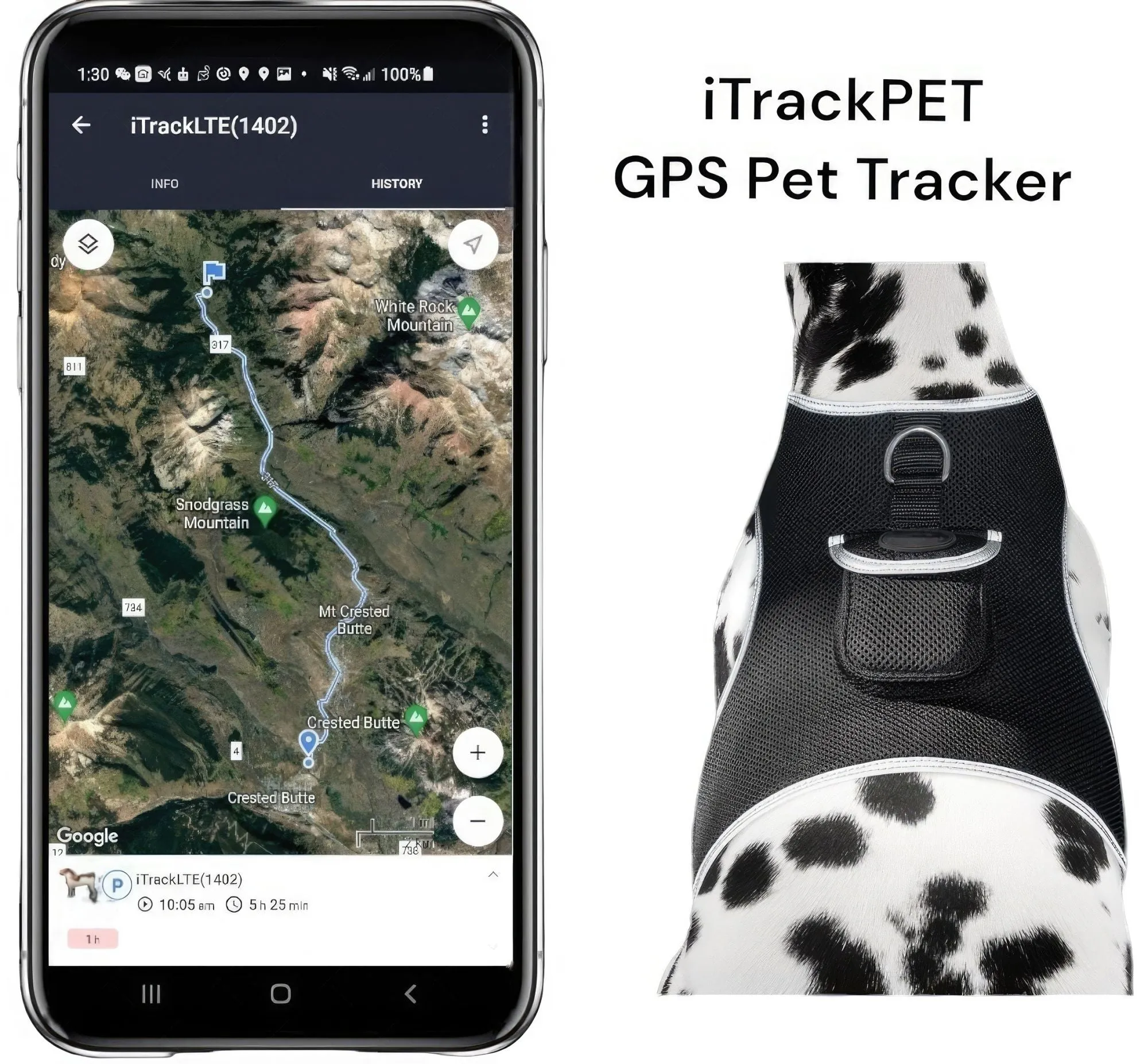 Budget-Friendly Dog GPS Tracker - Pet Surveillance Device (Size: S)