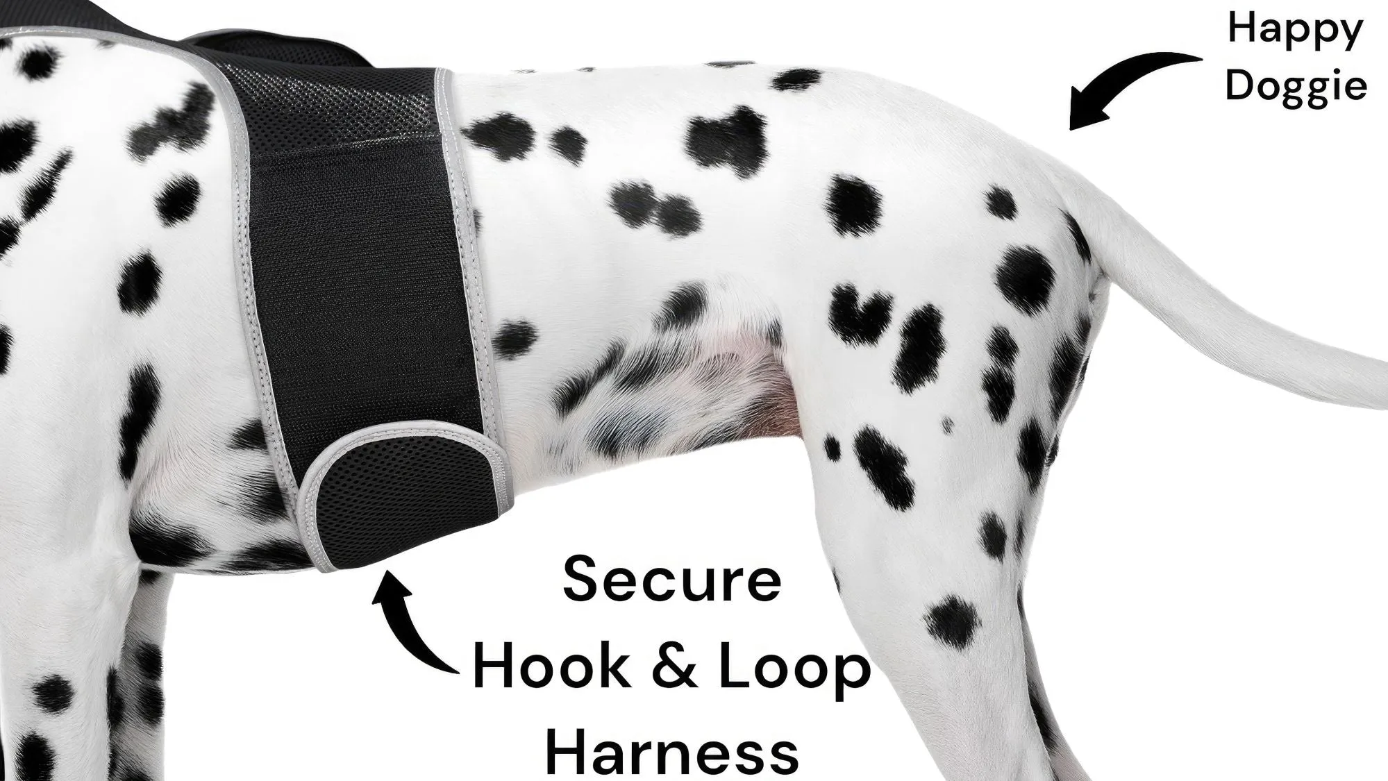 Budget-Friendly Dog GPS Tracker - Pet Surveillance Device (Size: S)