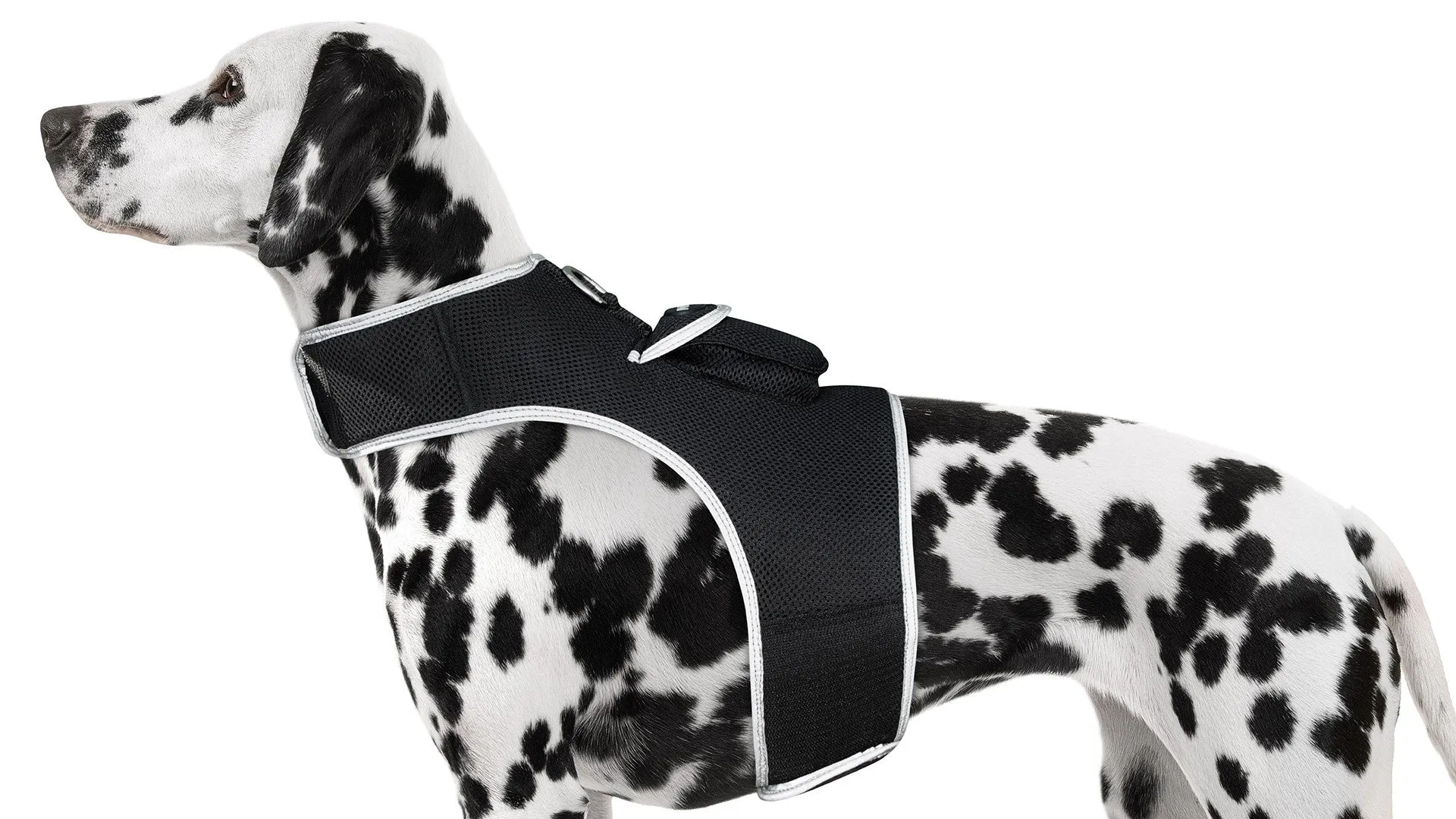 Budget-Friendly Dog GPS Tracker - Pet Surveillance Device (Size: S)