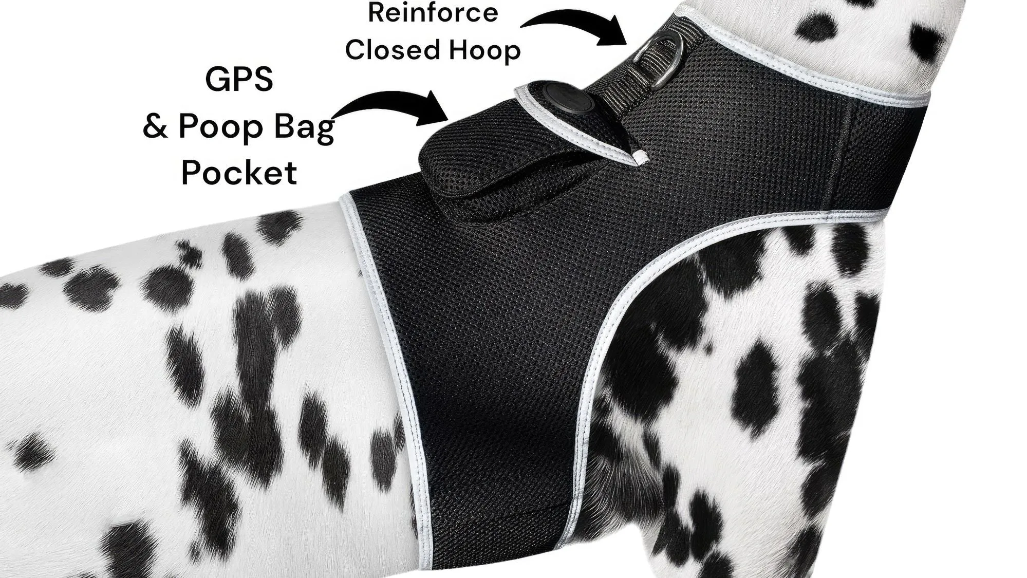 Budget-Friendly Dog GPS Tracker - Pet Surveillance Device (Size: S)
