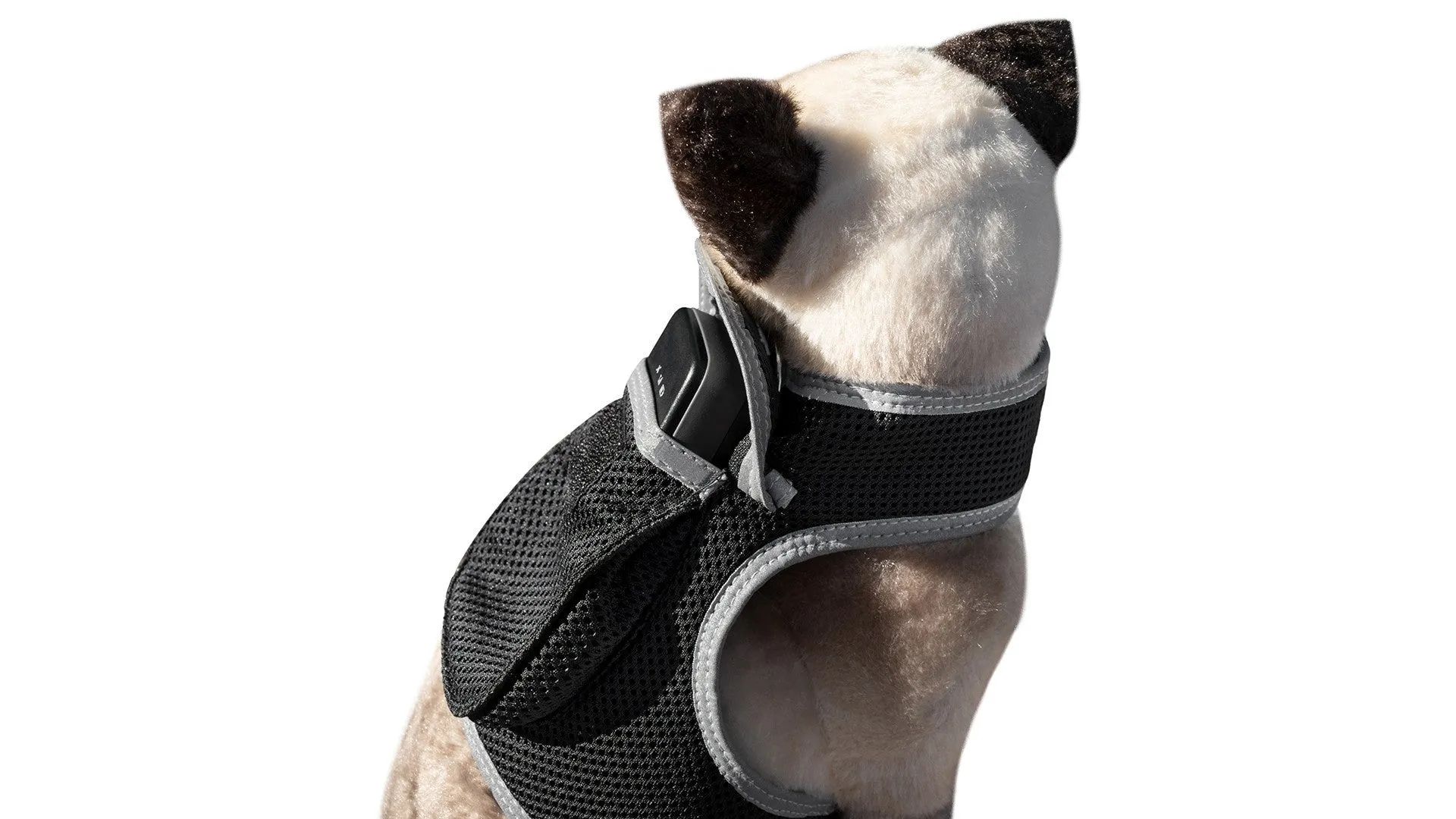 Budget-Friendly Dog GPS Tracker - Pet Surveillance Device (Size: S)
