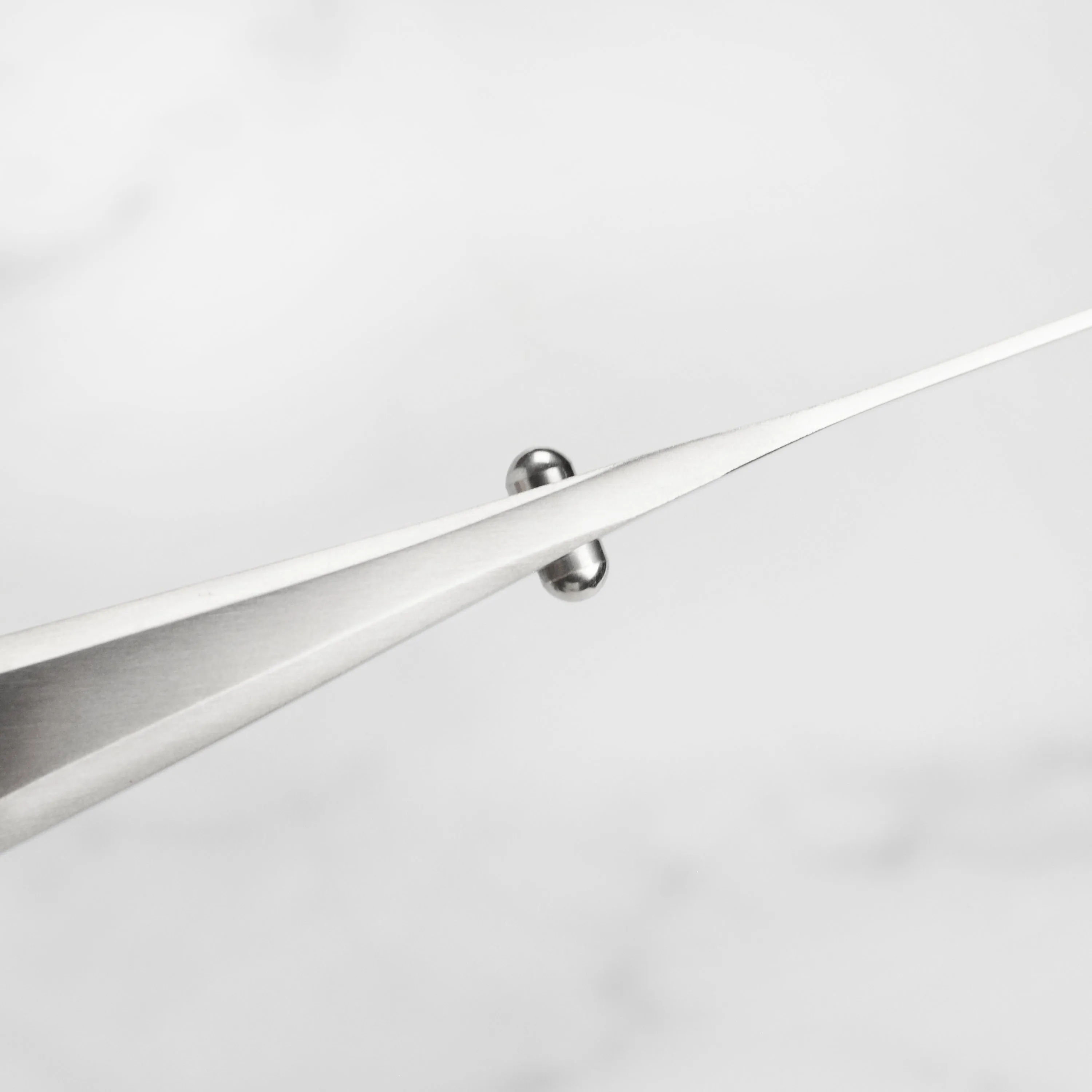 Chroma Type 301 9.75" Sashimi Knife