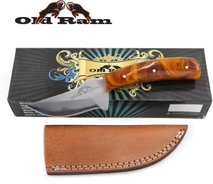 Collection Sharp Heavy Duty Durable Fixed Blade Hunting Skinner Knife w/Leather Sheath (BP)