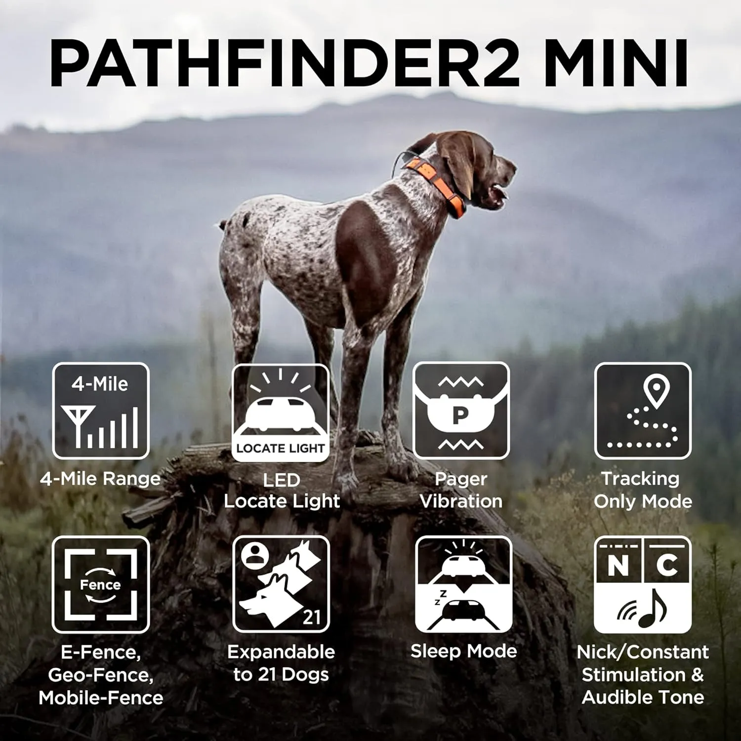 Dogtra Pathfinder 2 Mini GPS Dog Tracker e Collar 4 Mile Long Range LED Light No Monthly Fees Free App Waterproof Smartwatch Control Based Real Time Tracking Multiple Dogs Smartphone Required