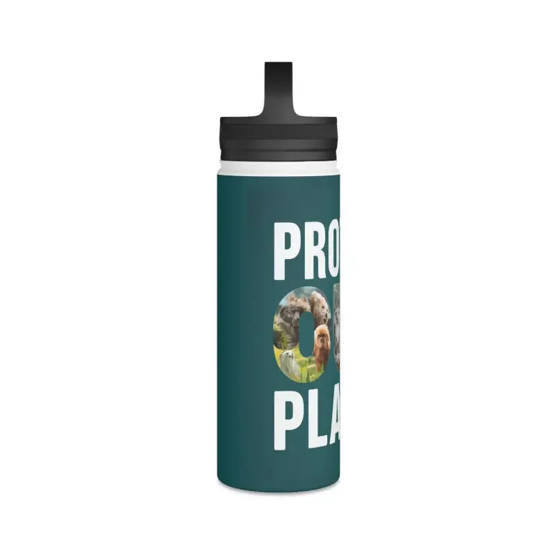 Double Wall Stainless Steel Bottle with Handle Lid