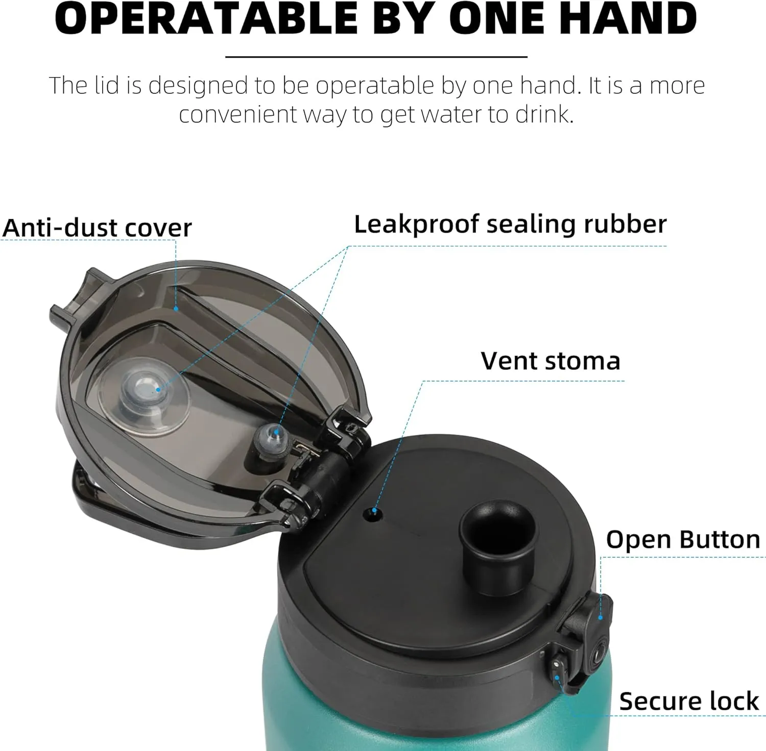 Fanhaw 24 Oz Insulated Stainless Steel Water Bottle - Chug Lid | Leak & Sweat Proof, Anti-Dust | For Kids, Women, Men (Green Blue)