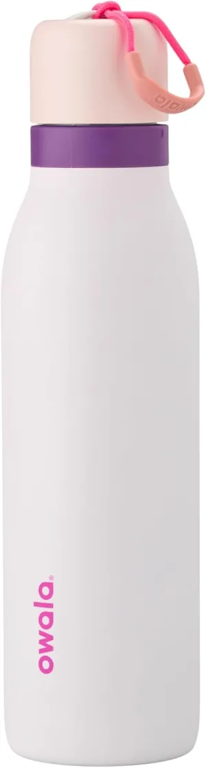 FreeSip Twist Insulated Stainless Steel Water Bottle with Straw for Sports and Travel, BPA-Free, 18-oz, Pink/Purple (Dreamy Field)