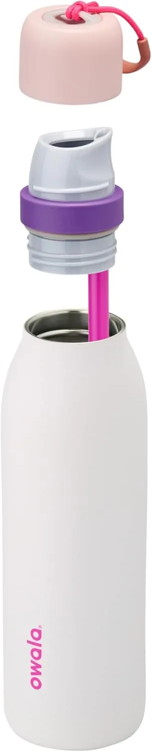 FreeSip Twist Insulated Stainless Steel Water Bottle with Straw for Sports and Travel, BPA-Free, 18-oz, Pink/Purple (Dreamy Field)