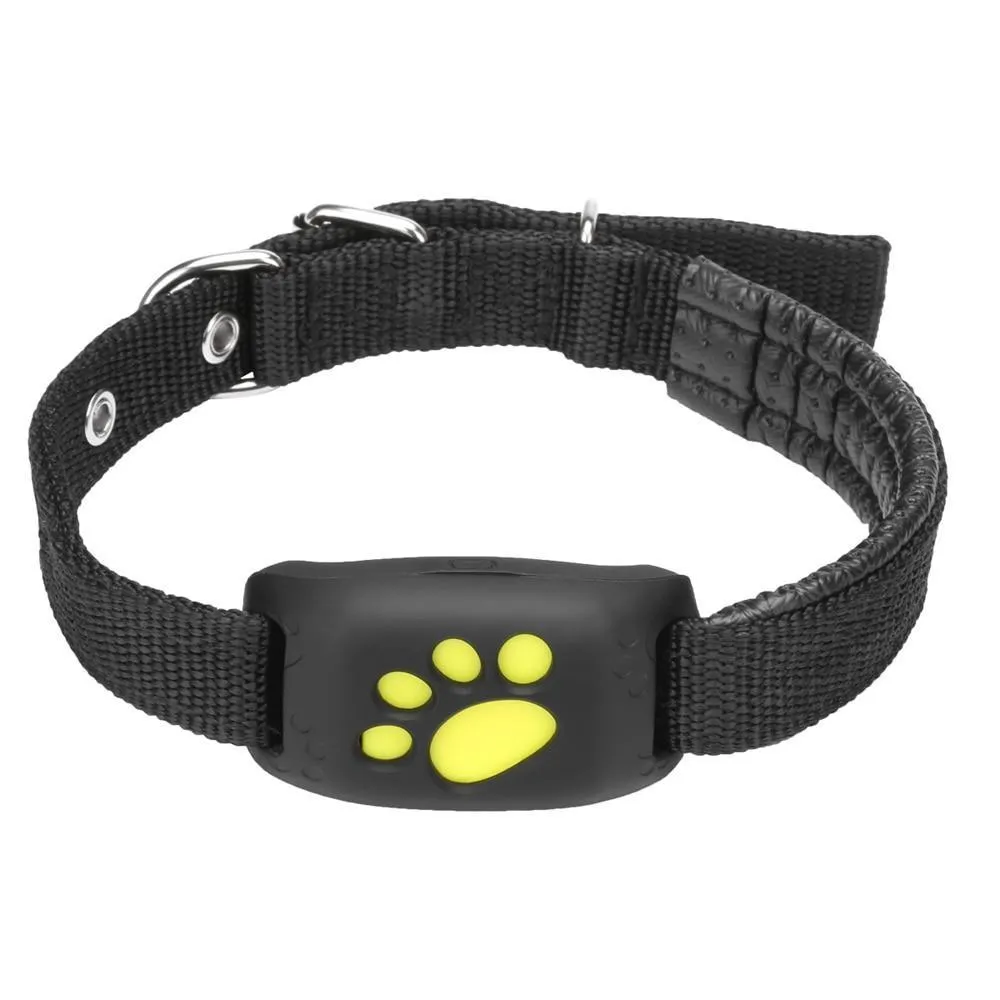 GPS Dog Collar