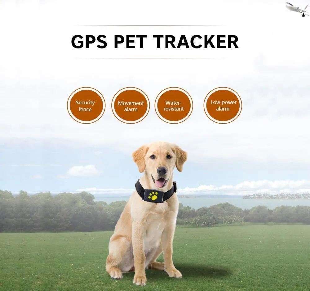 GPS Dog Collar