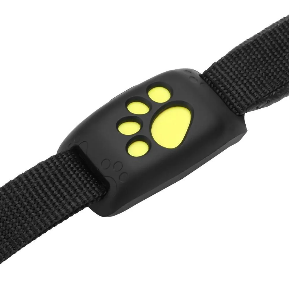 GPS Dog Collar