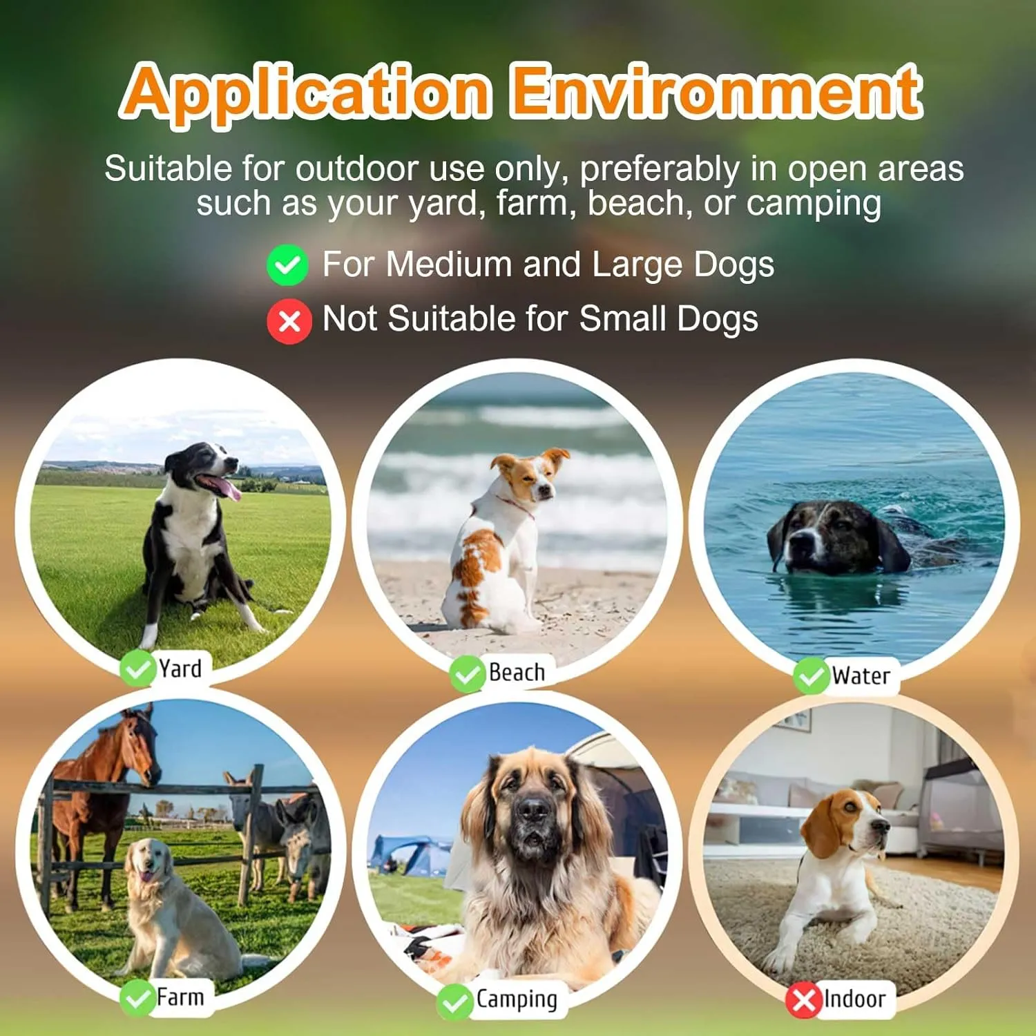 GPS Wireless Dog Fence System, Electric Dog Fence, IPX7 Waterproof Rechargeable Collar Receiver,Radius from min 33 to max 999 Yards, Electric Dog Fence with No Wire Circular Boundary,Outdoor Use Only2