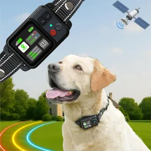 GPS Wireless Electric Dog Fence Collar | 49-6561ft Adjustable Boundary, 3 Training Modes, Auto Protection Mode for Pet Safety | Auto Memory, IPX7 Waterproof, Long Battery Life, Outdoor Use
