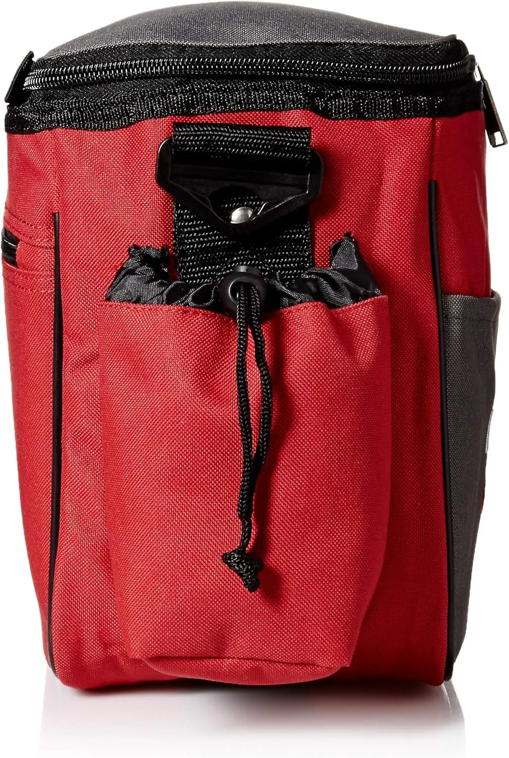 Innova Champion Discs Standard Disc Golf Bag