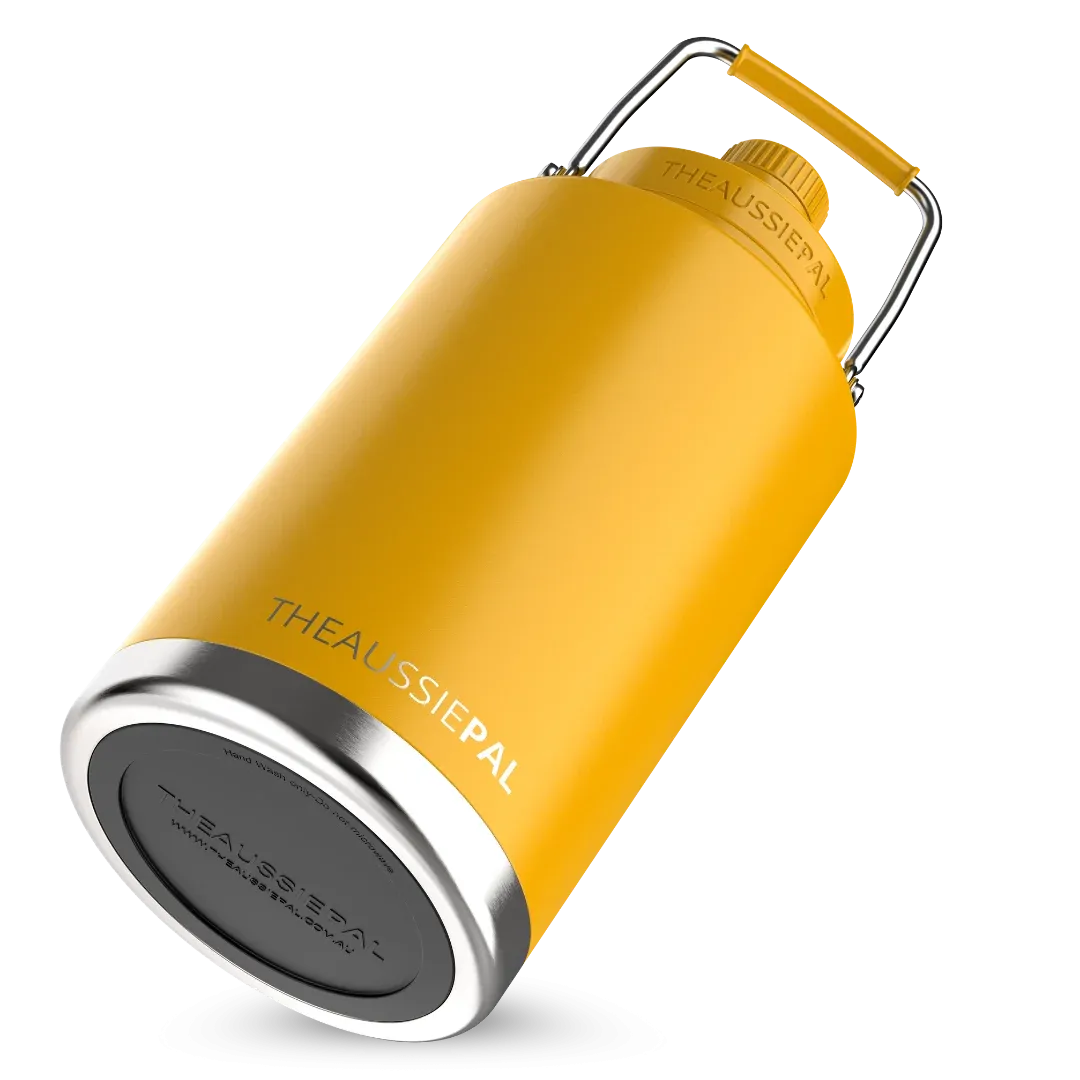 Insulated Water Bottle
