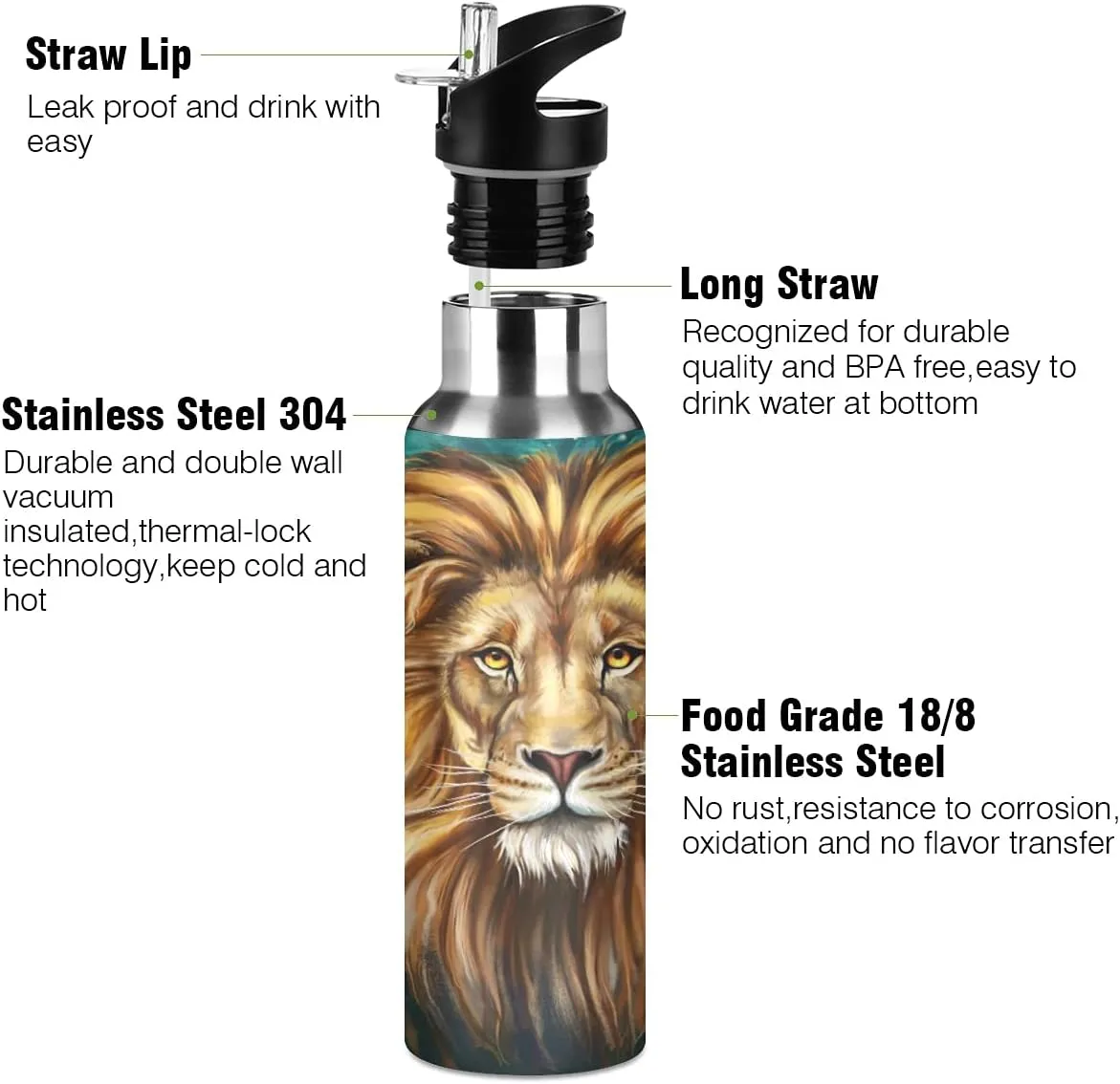 King Lion Aslan Water Bottle Kids Bottle with Straw Lid Kids Insulated Stainless Steel Water Flask Leakproof Bottle for Gym Outdoor 20 oz