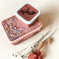 Lunch box popsicles desert rose
