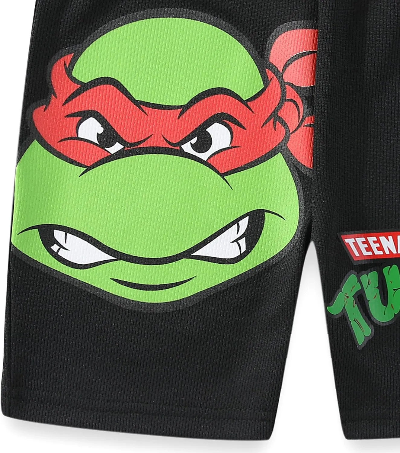 Nickelodeon Teenage Mutant Ninja Turtles Boys 2 Piece Pullover T-Shirt and Shorts Set for Toddler and Big Kids