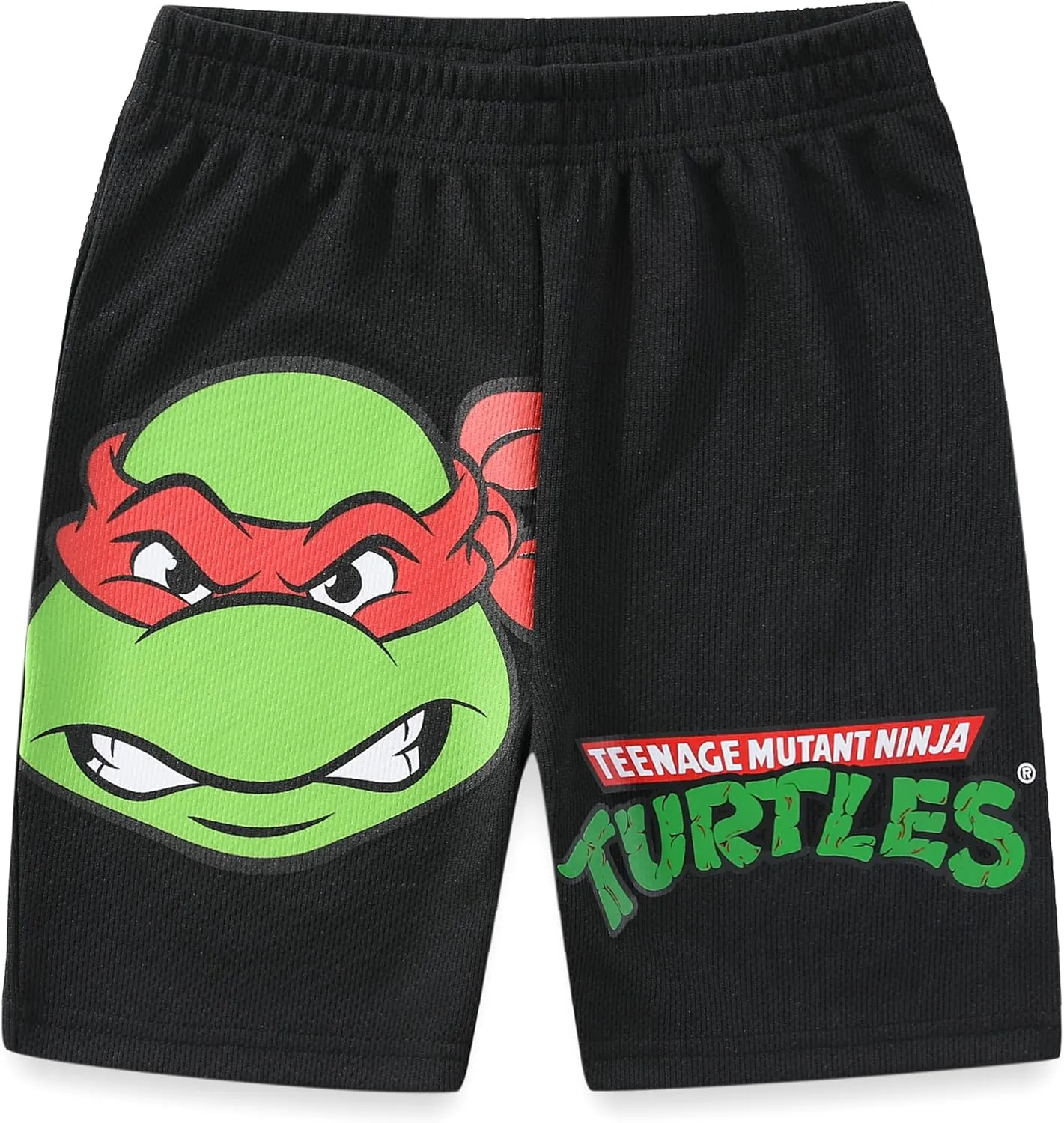 Nickelodeon Teenage Mutant Ninja Turtles Boys 2 Piece Pullover T-Shirt and Shorts Set for Toddler and Big Kids