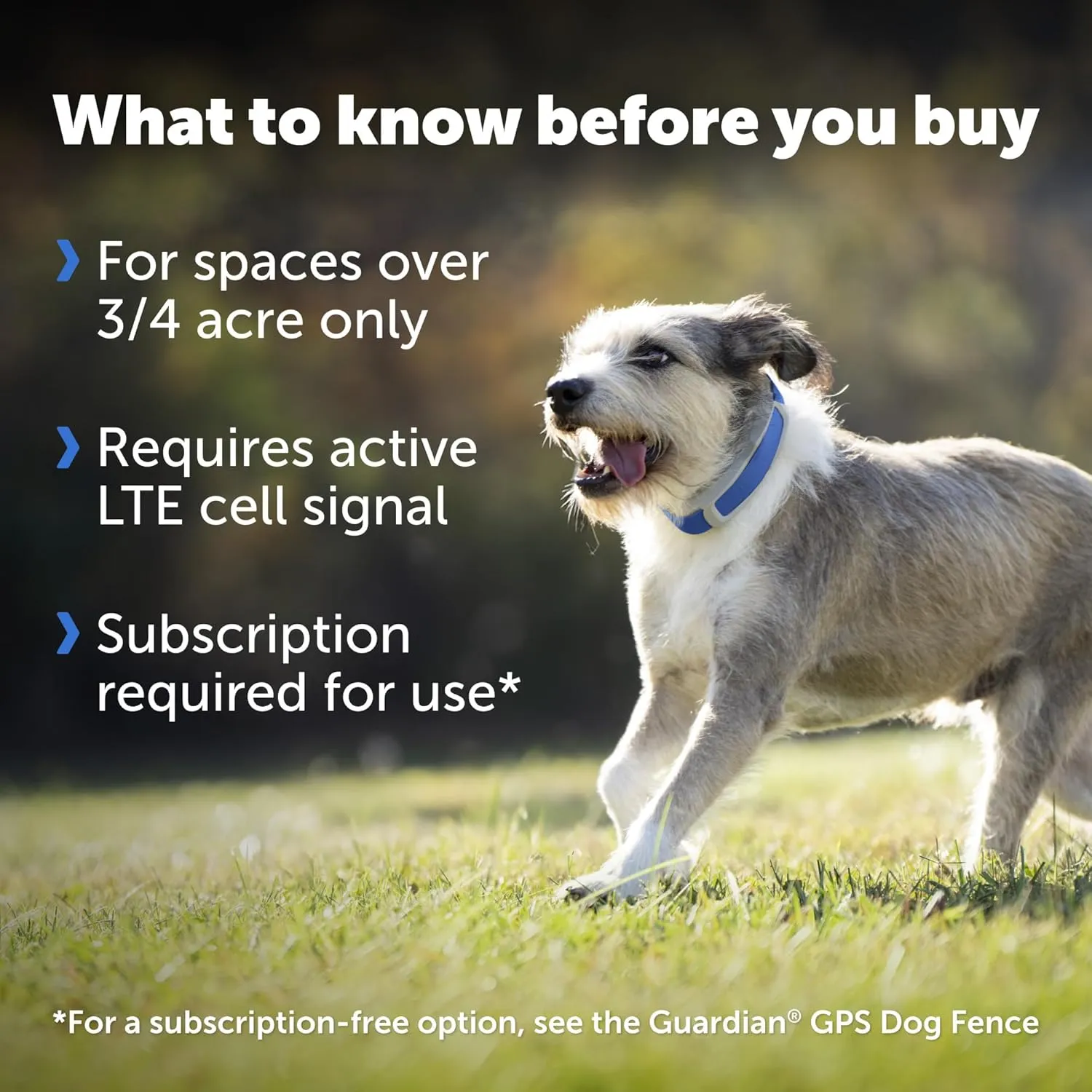 PetSafe Guardian GPS   Tracking Dog Fence Collar with Add'l Grey Collar Strap – Wireless Dog Fence with Real-Time Tracking – Most Reliable GPS Fence for Yards Over ¾ Acres – Subscription Required
