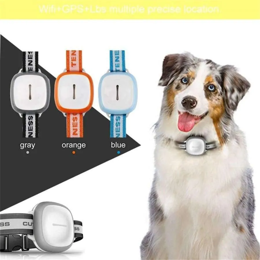 Rynx | Wireless GPS Pet Finder Waterproof Pet Dog Cat Collar Anti-Loss Tracker