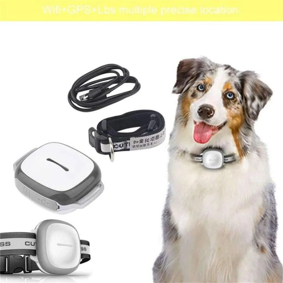 Rynx | Wireless GPS Pet Finder Waterproof Pet Dog Cat Collar Anti-Loss Tracker