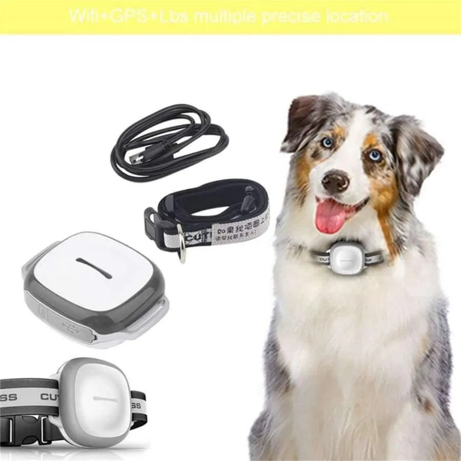 Rynx | Wireless GPS Pet Finder Waterproof Pet Dog Cat Collar Anti-Loss Tracker