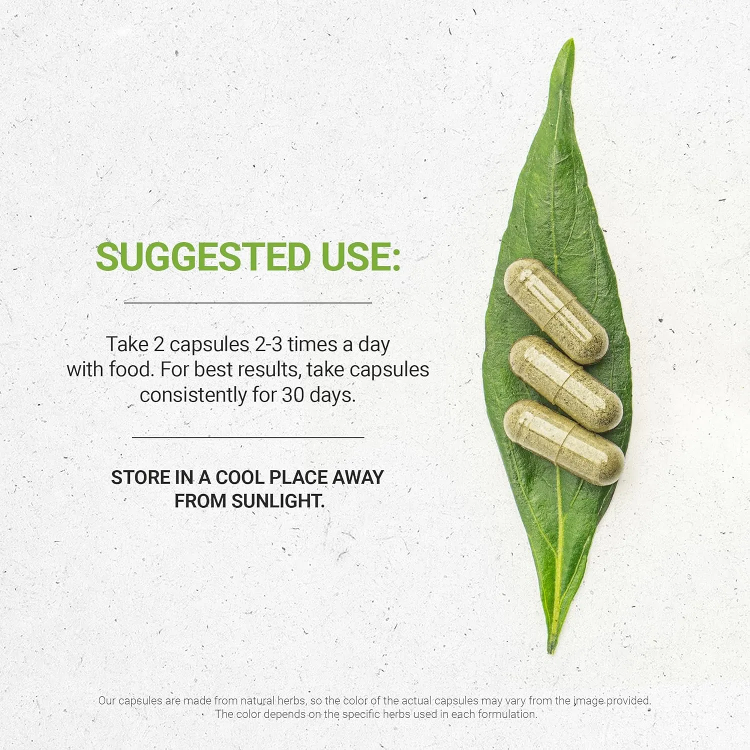 Secrets of the Tribe Wormwood 120 Capsules, 800 mg, Wormwood (Artemisia Absinthium) Dried Herb (120 Capsules)