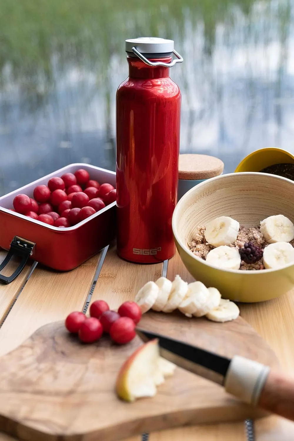 SIGG - Aluminum Water Bottle Original - Made in Switzerland - Lightweight - BPA-free - for Carbonated Drinks 17 / 25 Oz