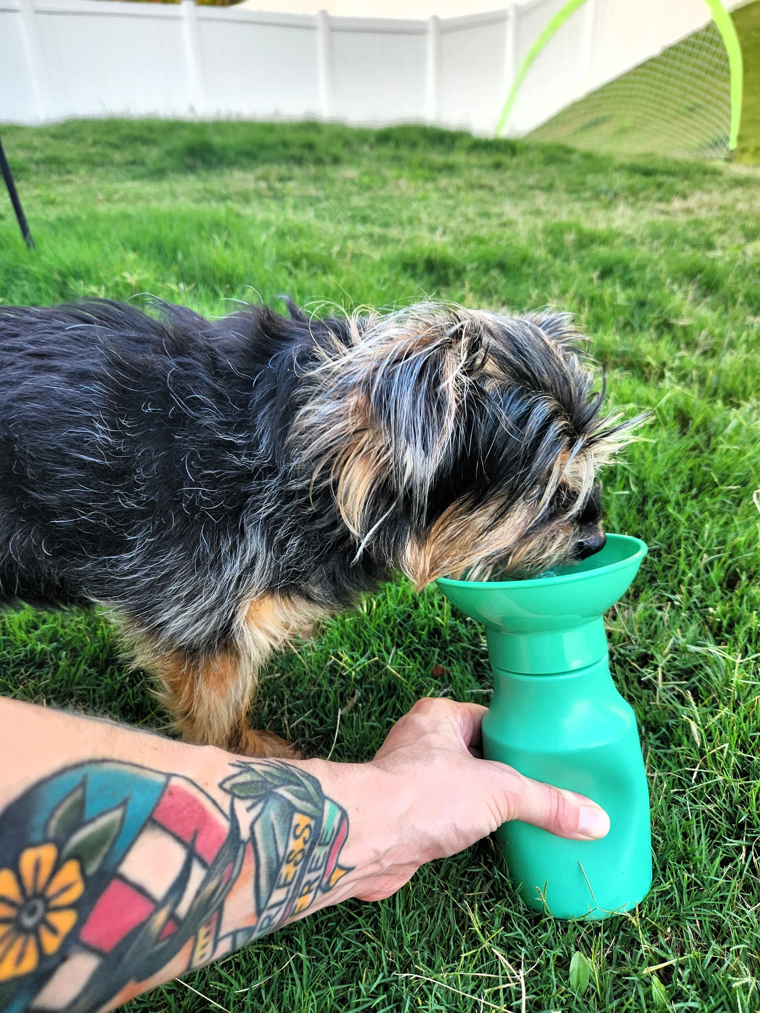 Springer Travel Mini Dog Water Bottle | 15oz | Leakproof | Portable and Lightweight | Convenient on-the-Go Hydration