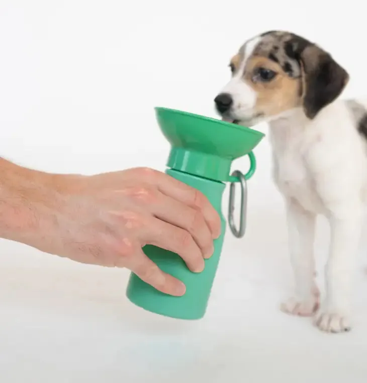 Springer Travel Mini Dog Water Bottle | 15oz | Leakproof | Portable and Lightweight | Convenient on-the-Go Hydration
