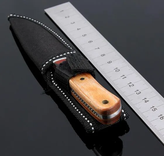 Stainless Steel Fixed Knife