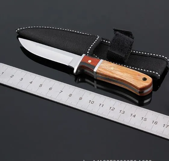 Stainless Steel Fixed Knife