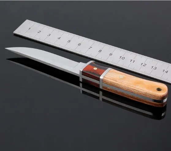 Stainless Steel Fixed Knife
